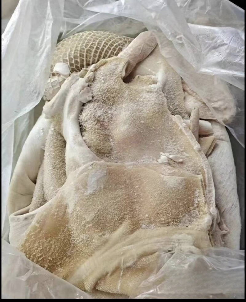 牛肚水熟无碱发水发牛肚牛肚牛肚牛肚牛肚牛肚熟牛肚