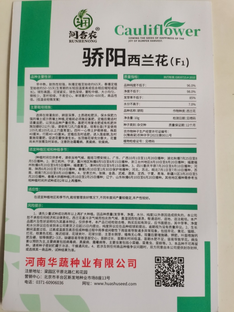 盛绿西兰花种子，早中熟，小米粒，低温不发紫