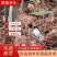 四川多花黄精价格优惠自产自销可视频看货欢迎联系