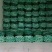 河北精品皇后芹菜大量供应产地直发价格美丽欢迎来电