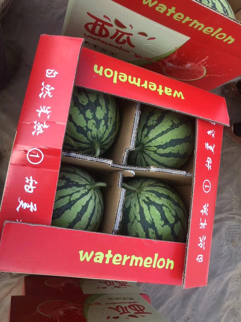 【实力】江苏西瓜盐城东台美都西瓜一手货源！