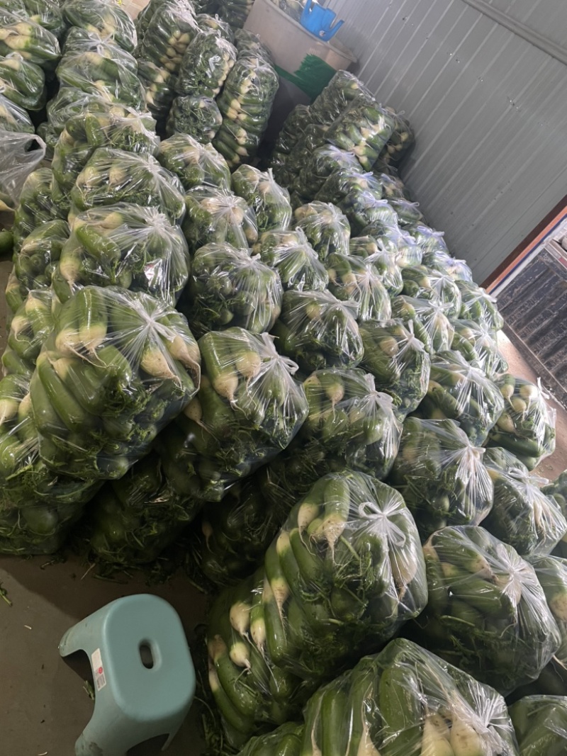 大量萝卜，需要的可以联系