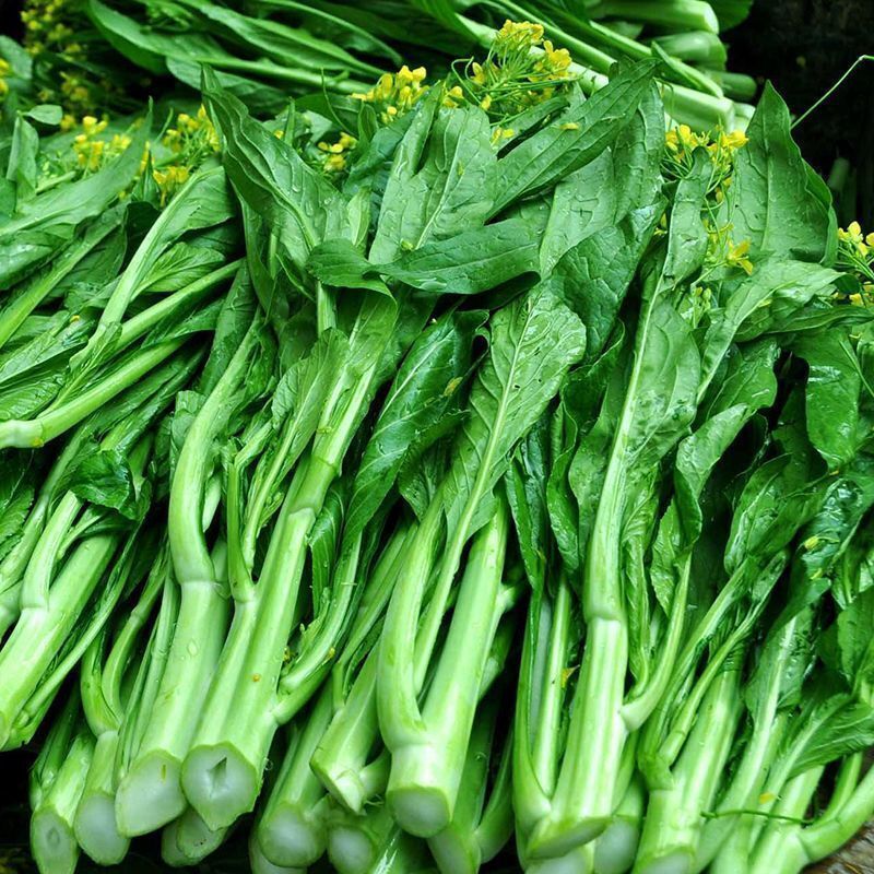 菜心菜苔广东菜心尖叶菜心安徽菜心甜菜心万亩基地