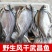 佳和旺.风干鳊鱼，质量保证，欢迎采购，合作共赢