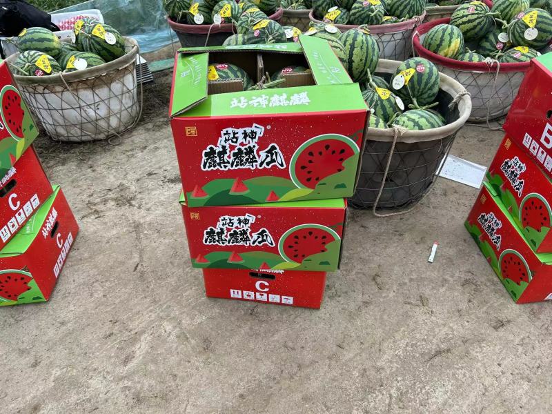【精选】江苏盐城东台西瓜8424西瓜实力代办货源充足产地