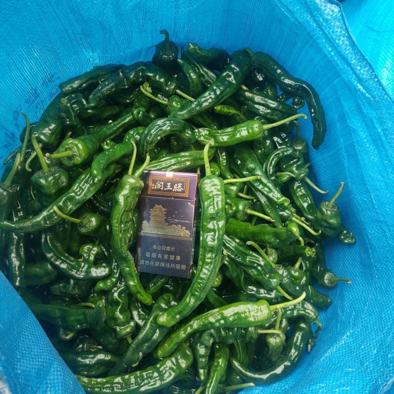 小皱皮万亩基地，龚垒直发全国各地区电商货对