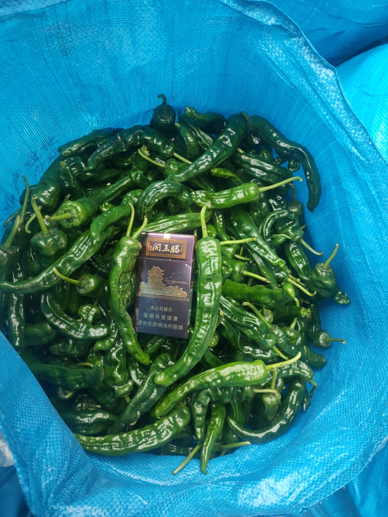 小皱皮万亩基地，龚垒直发全国各地区电商货对