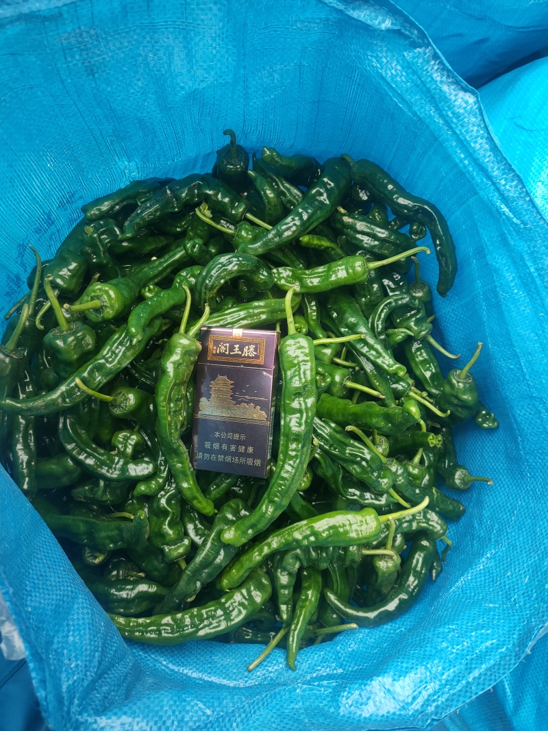 小皱皮万亩基地，龚垒直发全国各地区电商货对