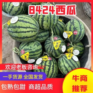【精选】江苏盐城东台西瓜8424西瓜实力代办货源充足产地