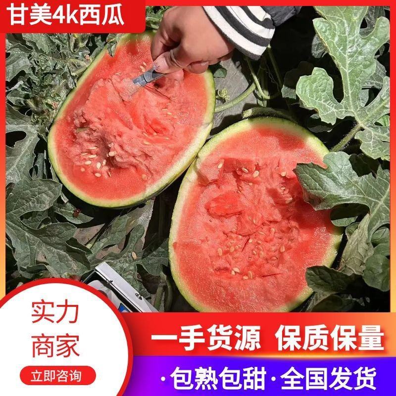 【推荐】江苏盐城东台西瓜甘美4k西瓜实力代办货源充足产地