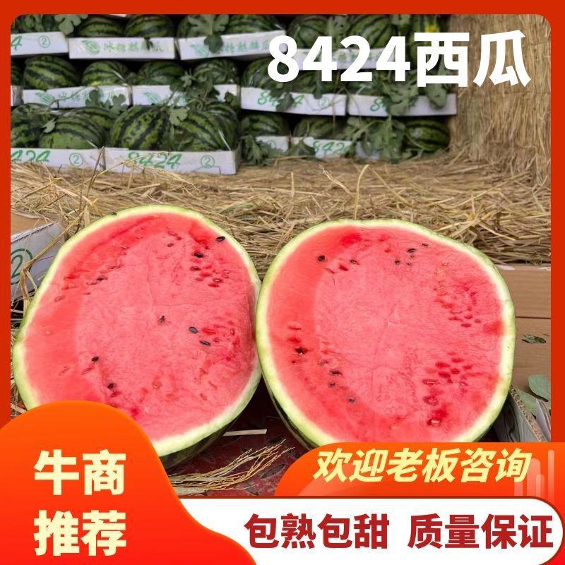 【实力】江苏盐城东台西瓜8424西瓜实力代办货源充足产地