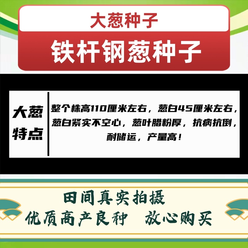 正品进口品种日本钢葱铁杆大葱种子厂家包邮