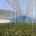 全套蔬菜种植大棚钢管型号齐全尺寸随意定制全国发货