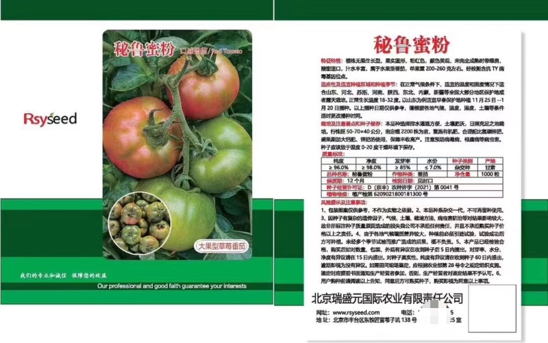 大果草莓番茄种子口感柿子秘鲁蜜粉绿肩番茄种子