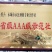 亩产700斤左右的高产新品种大豆种子高产基地永育三号