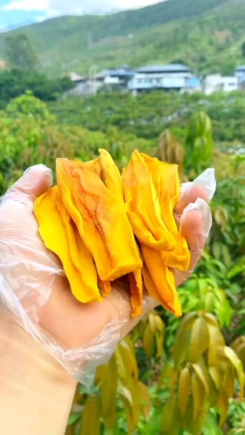 无糖芒果干0添加，出口级承接线上线下，确保工厂一手货源