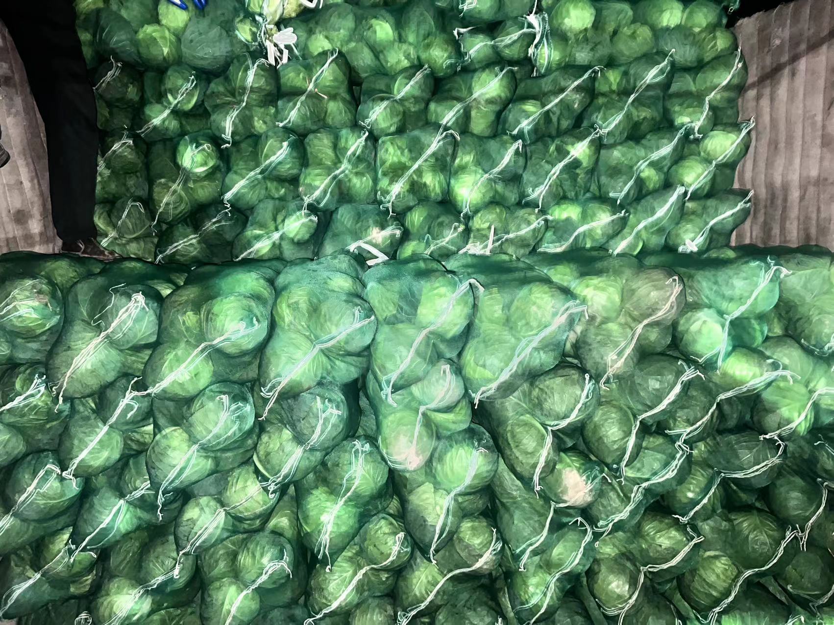 甘蓝圆包菜在超市货架上的陈列图