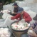 四川春见，耙耙柑，产地直供整车批发，果大汁多味甜，欢迎订