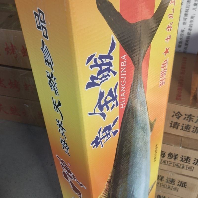 鲜活速冻黄金鲅团购代发电商送礼一件代发！