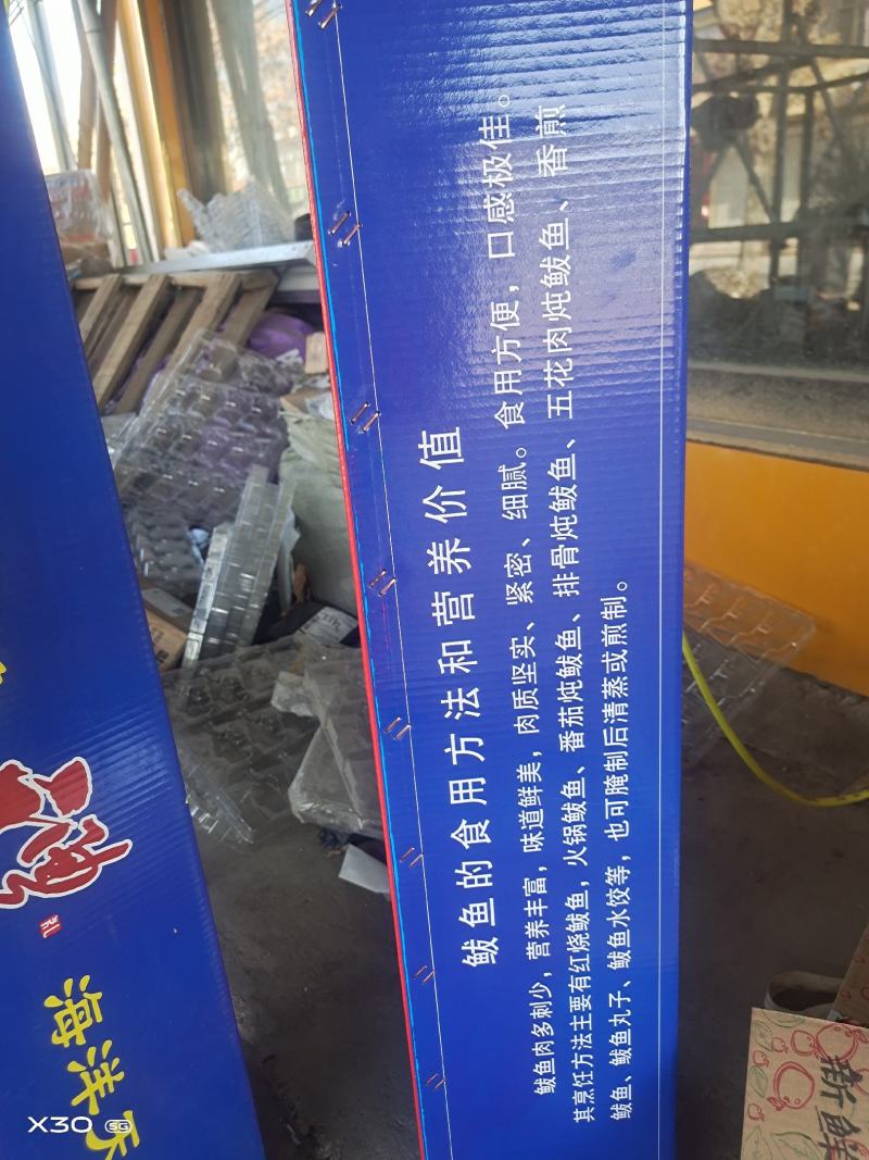 鲜活速冻黄金鲅团购代发电商送礼一件代发！