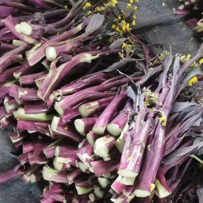 红菜苔，洪山菜苔25到35公分，可长期供货基地直供电联