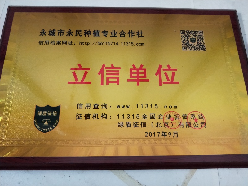 黄豆种子新品种亩产700斤左右高产黄豆种子基地！