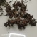 拐枣