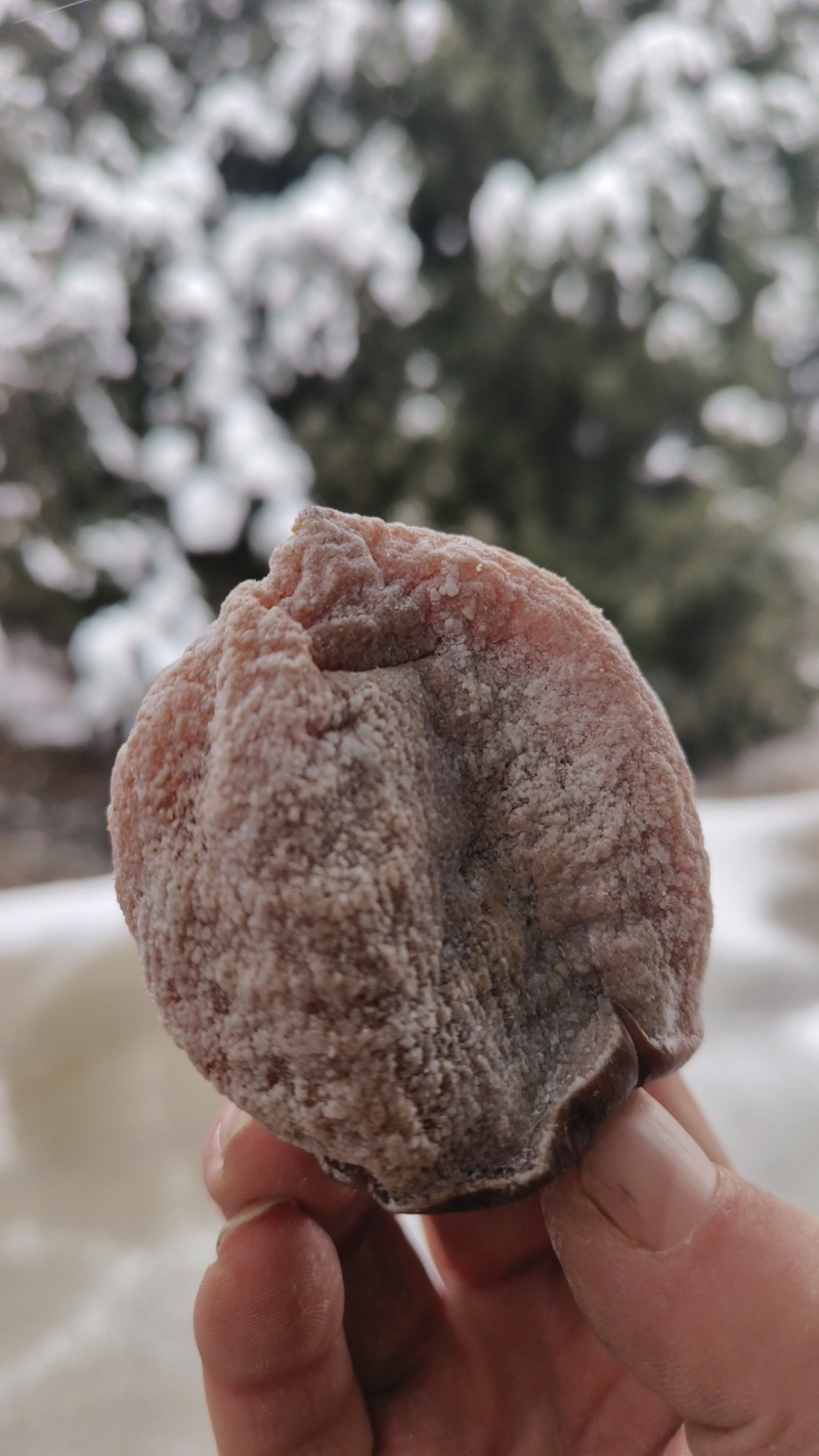 正宗富平柿饼量大从优