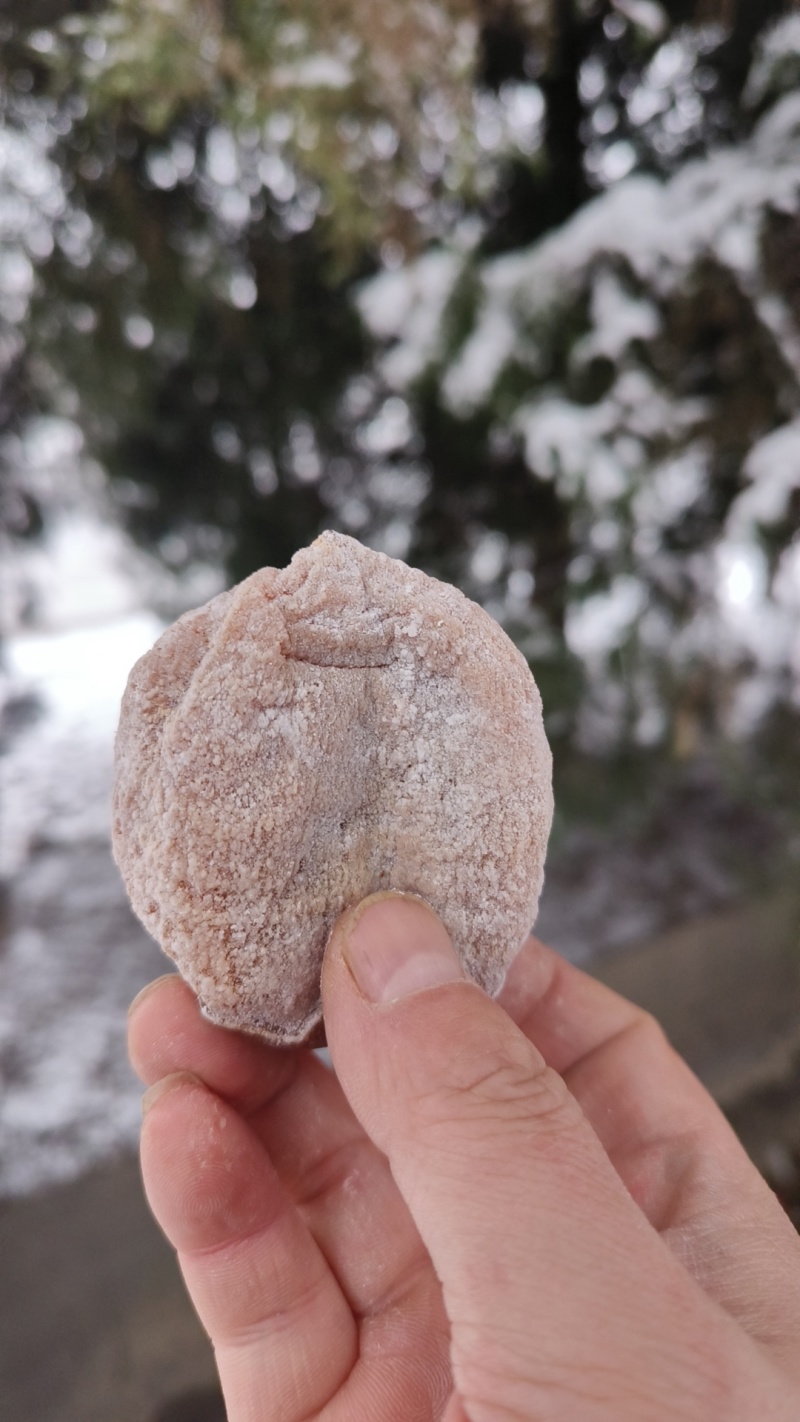 正宗富平柿饼量大从优