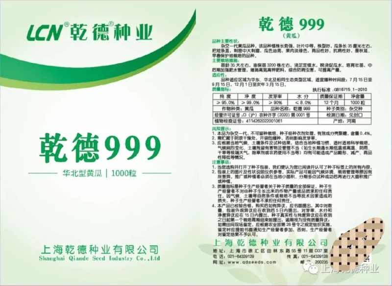 乾德999油亮密刺黄瓜种子秋延早春茬种植