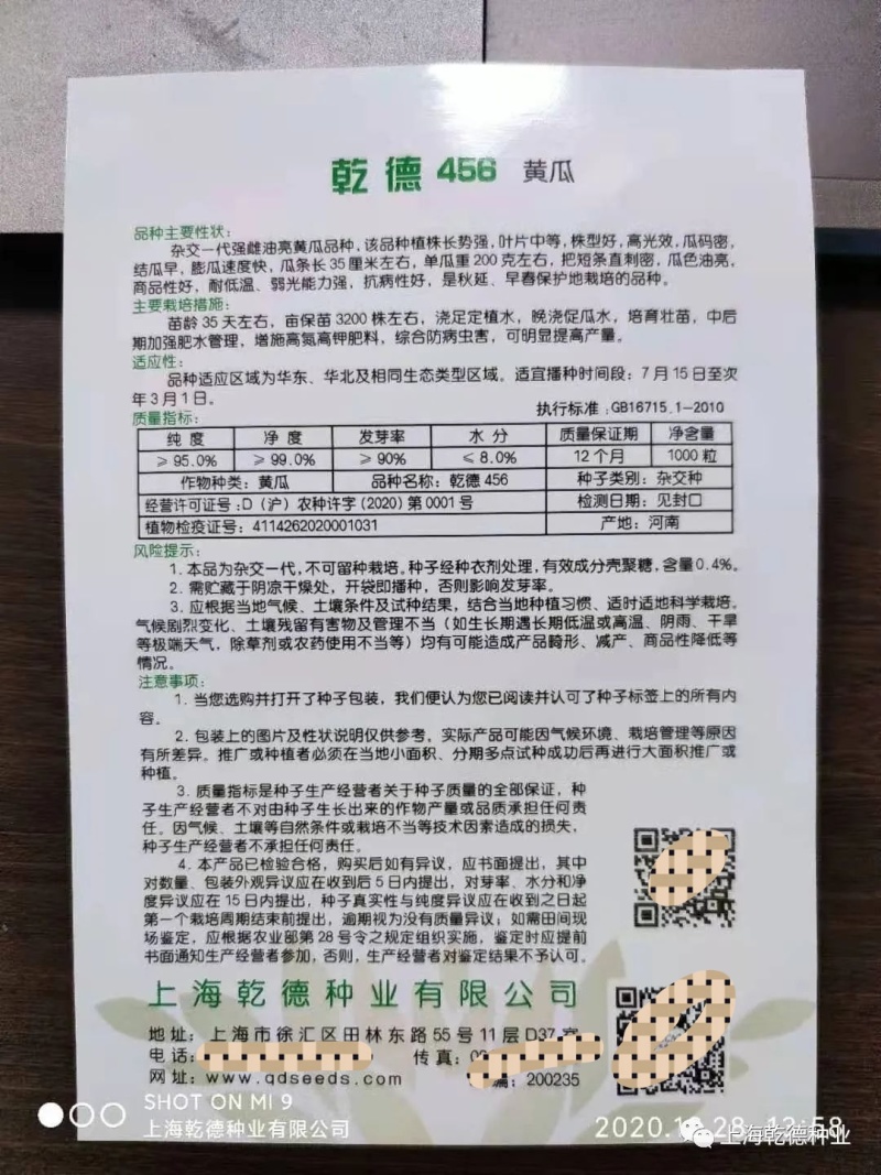 【包邮】乾德456强雌油亮春秋茬口栽培黄瓜