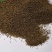 毛地黄种子混色四季易种趣味观赏盆栽花多年生花园花境花