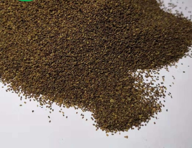 毛地黄种子混色四季易种趣味观赏盆栽花多年生花园花境花