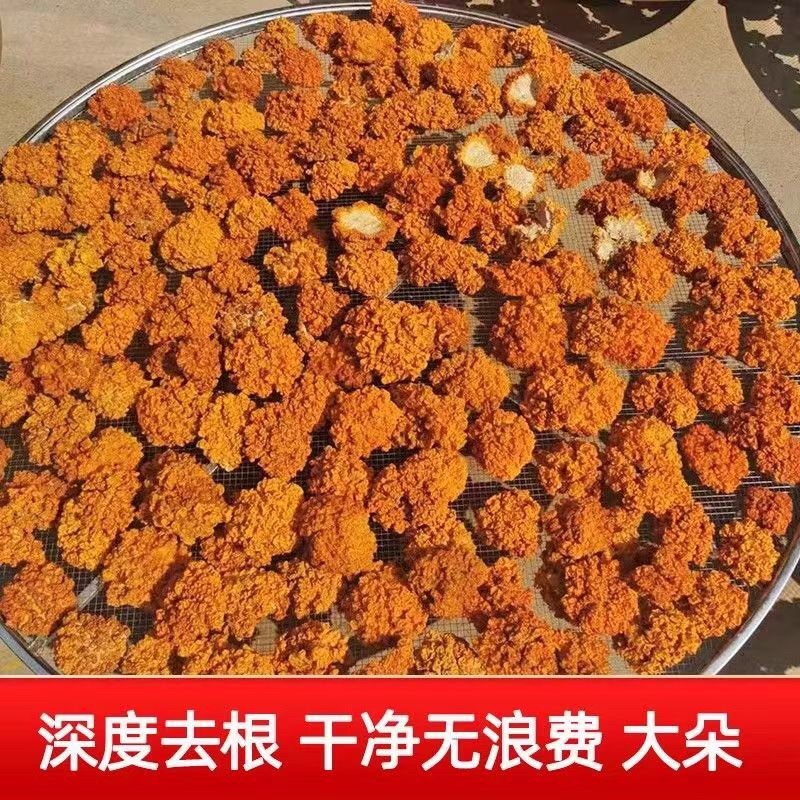 【云南金耳干货】无硫金耳干品新货黄金耳手工挑选包邮