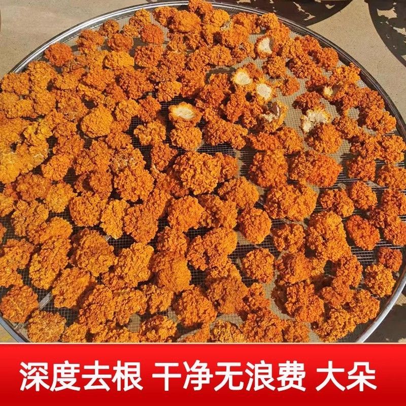 【金耳新货】云南无硫金耳干品黄金耳手工挑选味道鲜美包邮
