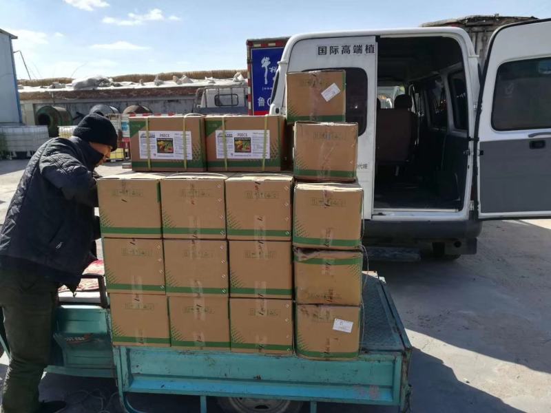 进口高磷高钾叶面肥花果多水溶肥花芽分化膨果增甜上色功能肥