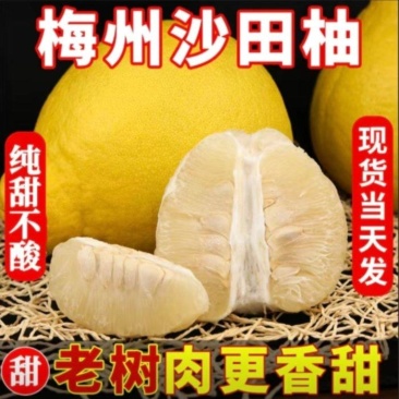 梅州沙田柚甜蜜多汁一手货源自己父母种一件也批发价
