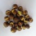 茶籽，茶种，茶叶种子，茶果，茶子，种植绿茶喝信阳毛尖