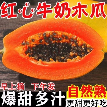 【爆甜】云南红心木瓜新鲜水果批发价下奶冰糖心木瓜