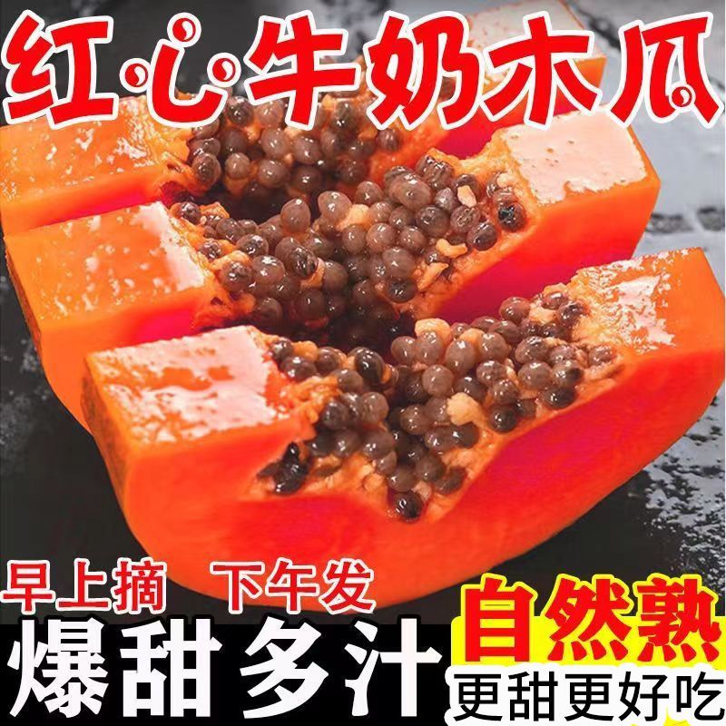 【爆甜】云南红心木瓜新鲜水果批发价下奶冰糖心木瓜