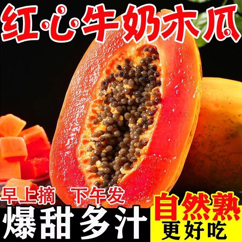 【爆甜】云南红心木瓜新鲜水果批发价下奶冰糖心木瓜