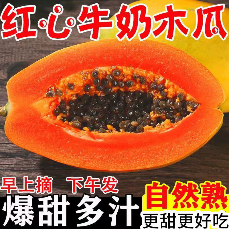 【爆甜】云南红心木瓜新鲜水果批发价下奶冰糖心木瓜