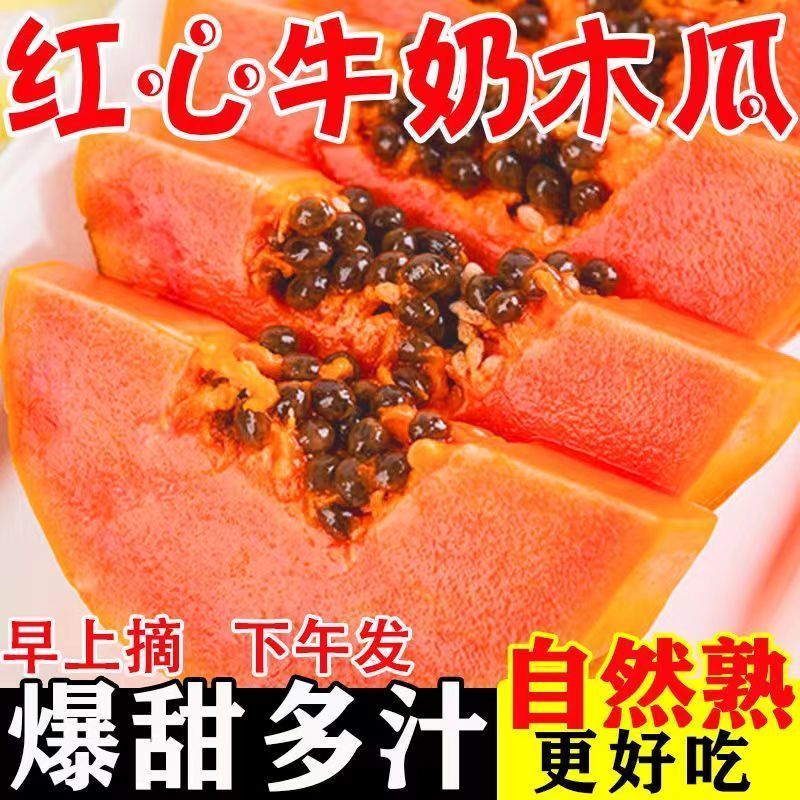 【爆甜】云南红心木瓜新鲜水果批发价下奶冰糖心木瓜