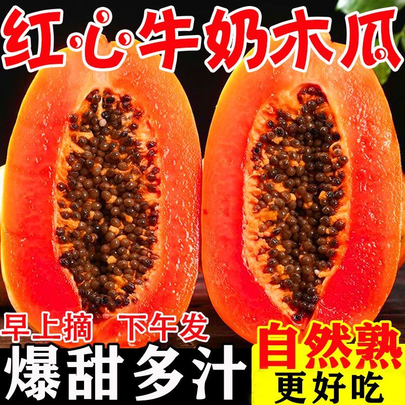 【爆甜】云南红心木瓜新鲜水果批发价下奶冰糖心木瓜