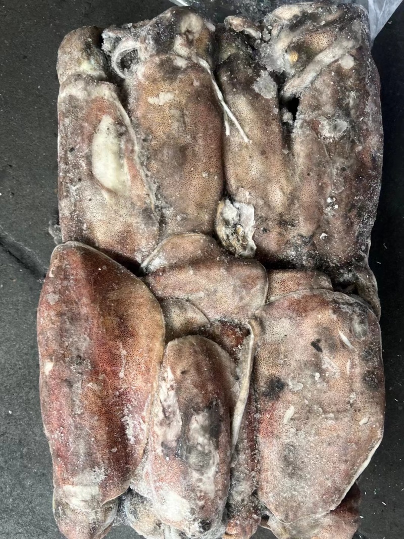 软目拖网软目船冻软目鱿母鱿猛300g以上