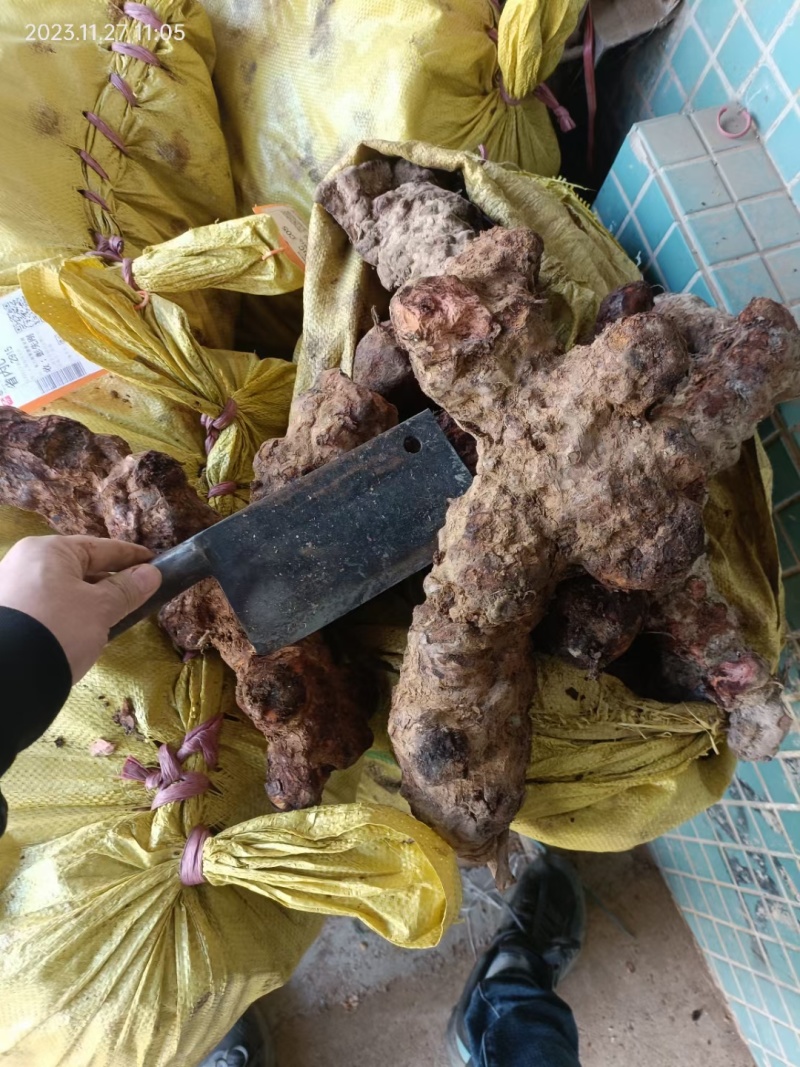 【推荐】云南越南边境土茯苓(野生大块，味道甘甜)
