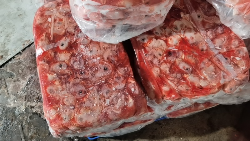 肉食鸡头
