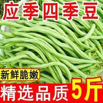 云南四季豆新鲜蔬菜芸豆无筋豆东北长豆角扁豆架豆王青豆特价
