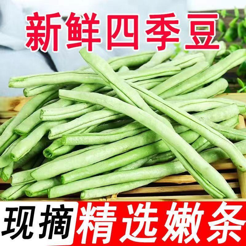 云南四季豆新鲜蔬菜芸豆无筋豆东北长豆角扁豆架豆王青豆特价