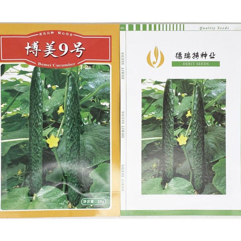 博美235博美9号黄瓜种子绿皮绿瓤油亮密刺油亮黄瓜种原装